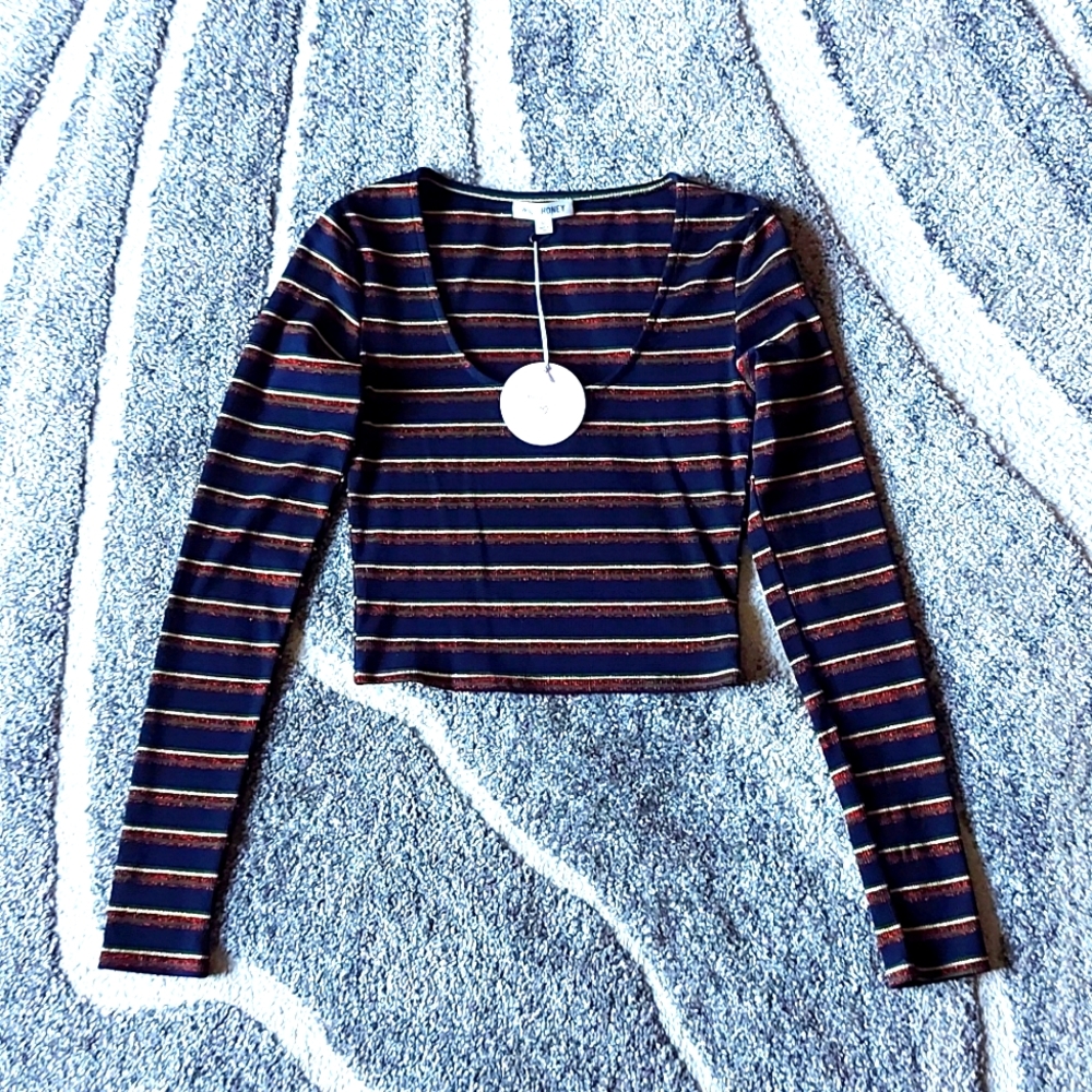 NWT Wild Honey Cropped Shimmery Long Sleeve Tee